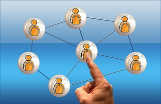 开云体育官网在线-体育新闻中心联合高校开展体育传媒创新创业大赛，体育产业创新创业大赛